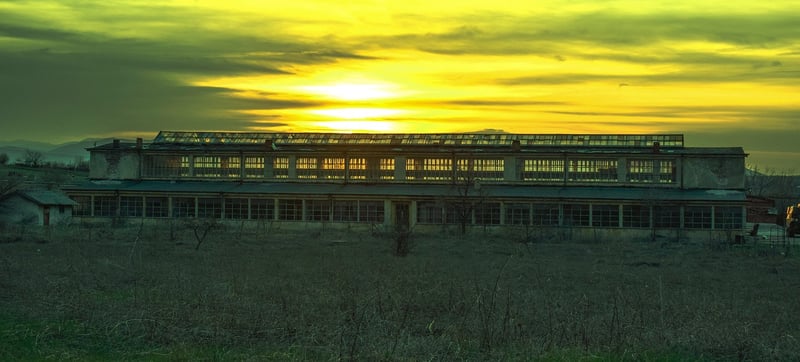 Nature Workshops